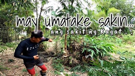 binabakuran in english|BAKURAN: Tagalog.